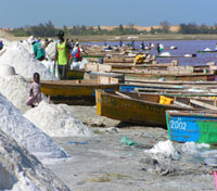 Salt Harvet Lac Rose Salt Harvet Lac Rose